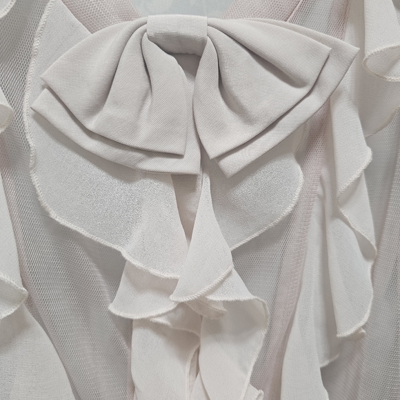 Twelve by twelve Elegant Sheer Ruffle Blouse, pale pink. size M - Picture 3 of 7